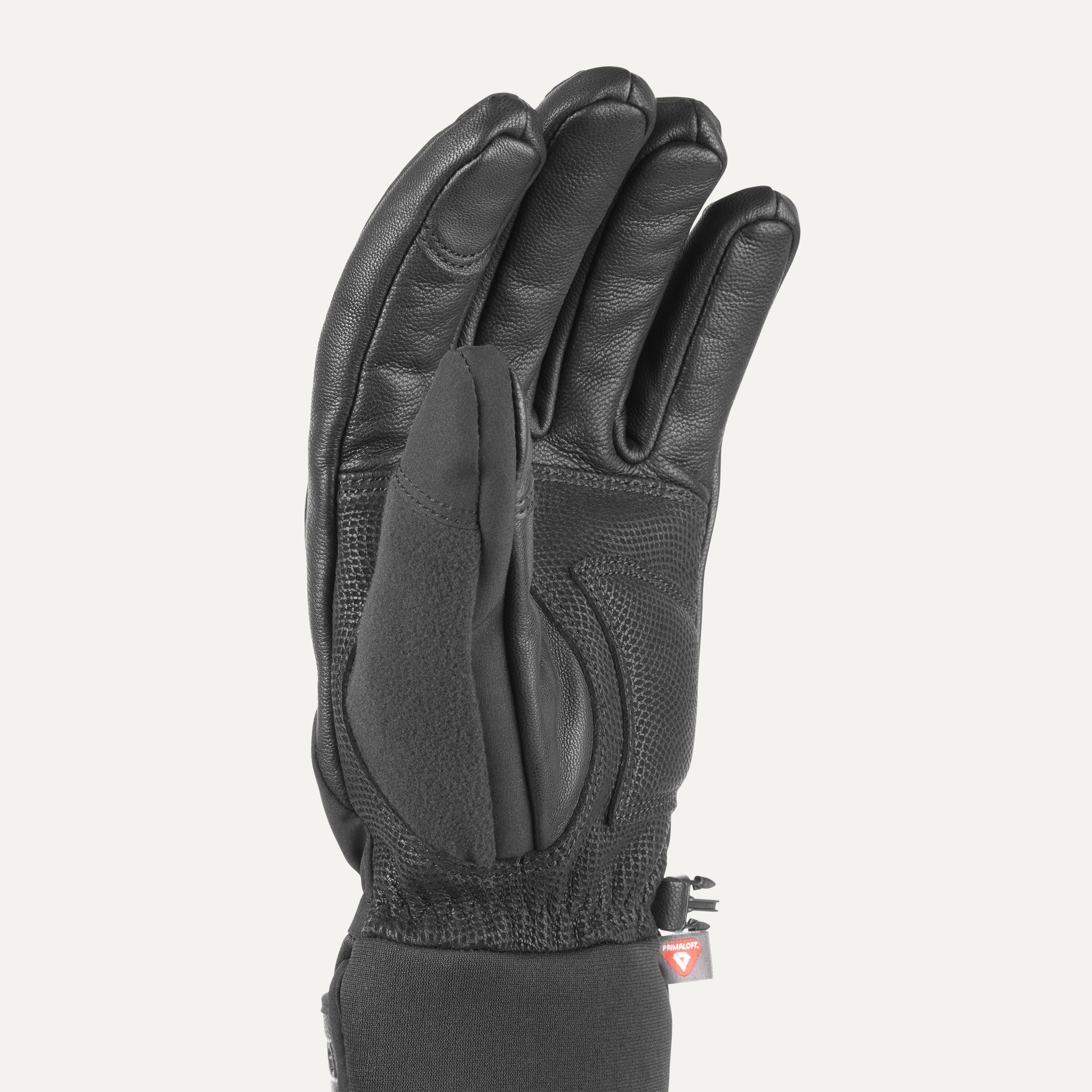 Sealskinz 100 waterproof glove online